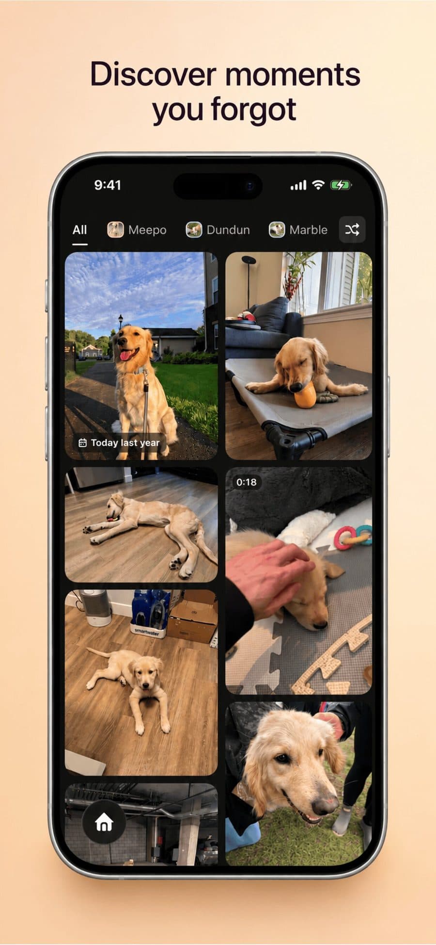 A grid of pet photos with a tab for each pet across the top