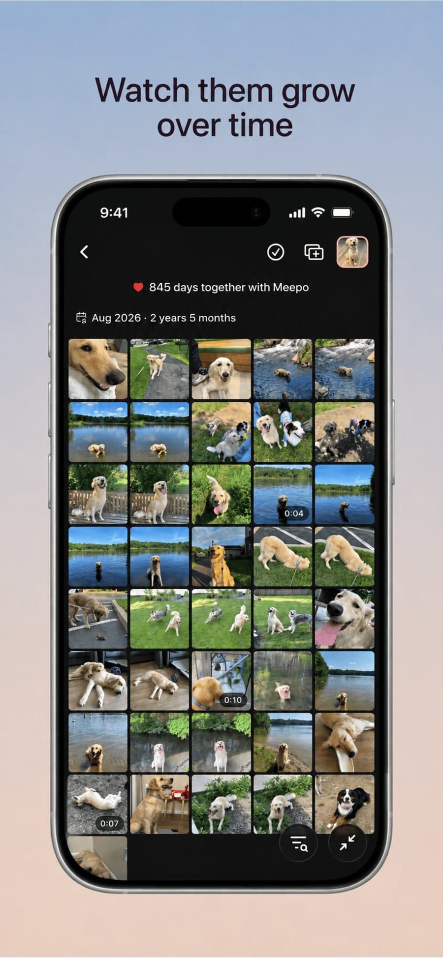 A dense month grid for one pet, headed 845 days together