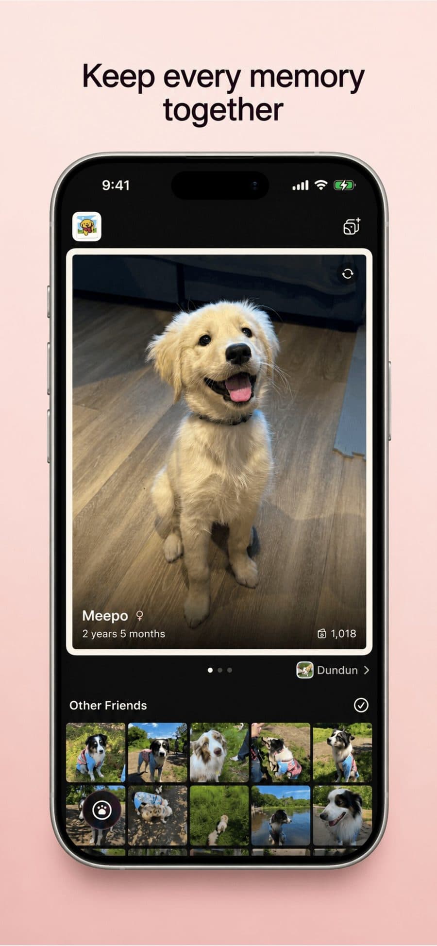 A card showing one pet, its age and photo count, above a grid of other dogs